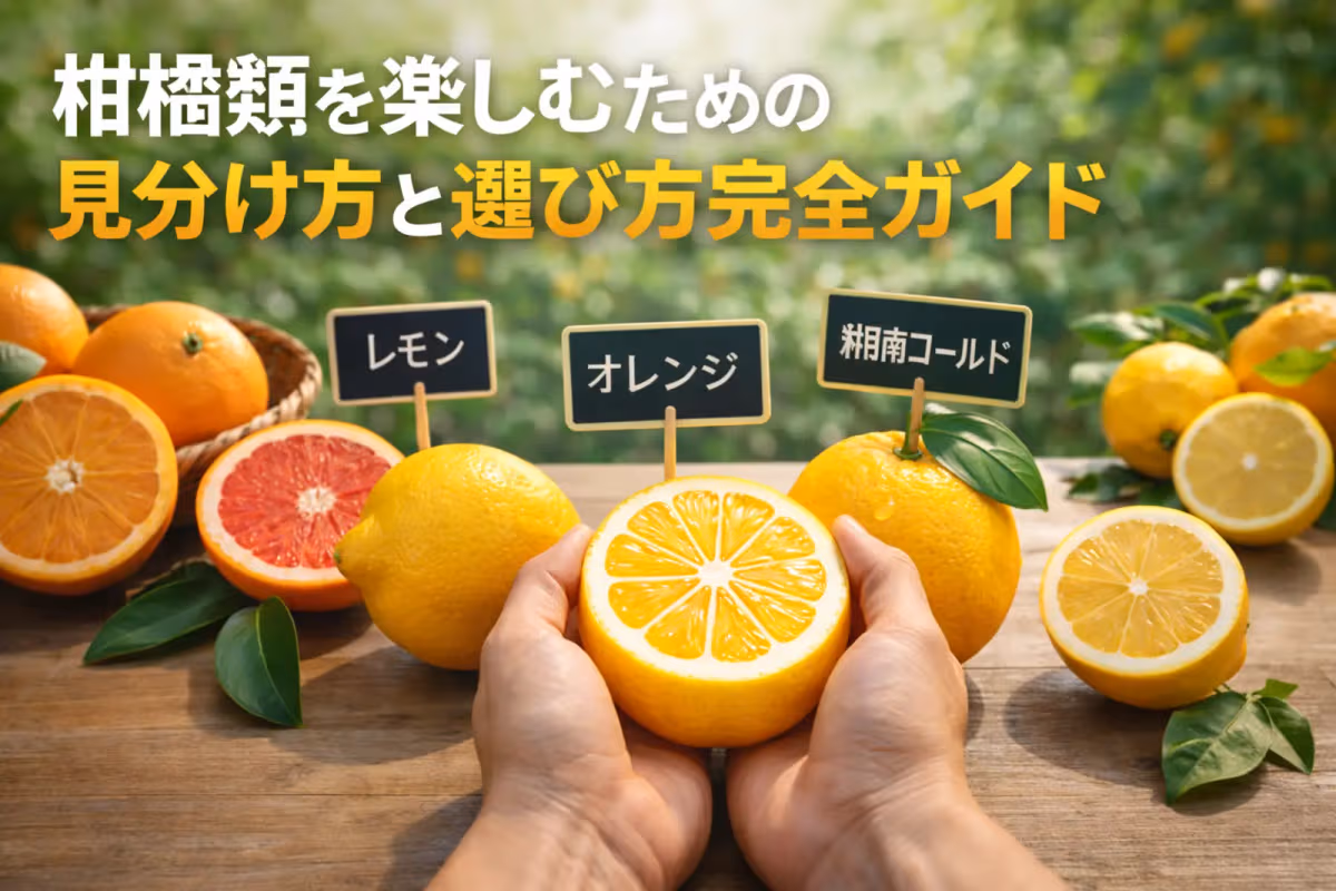 柑橘類を楽しむための見分け方と選び方完全ガイド